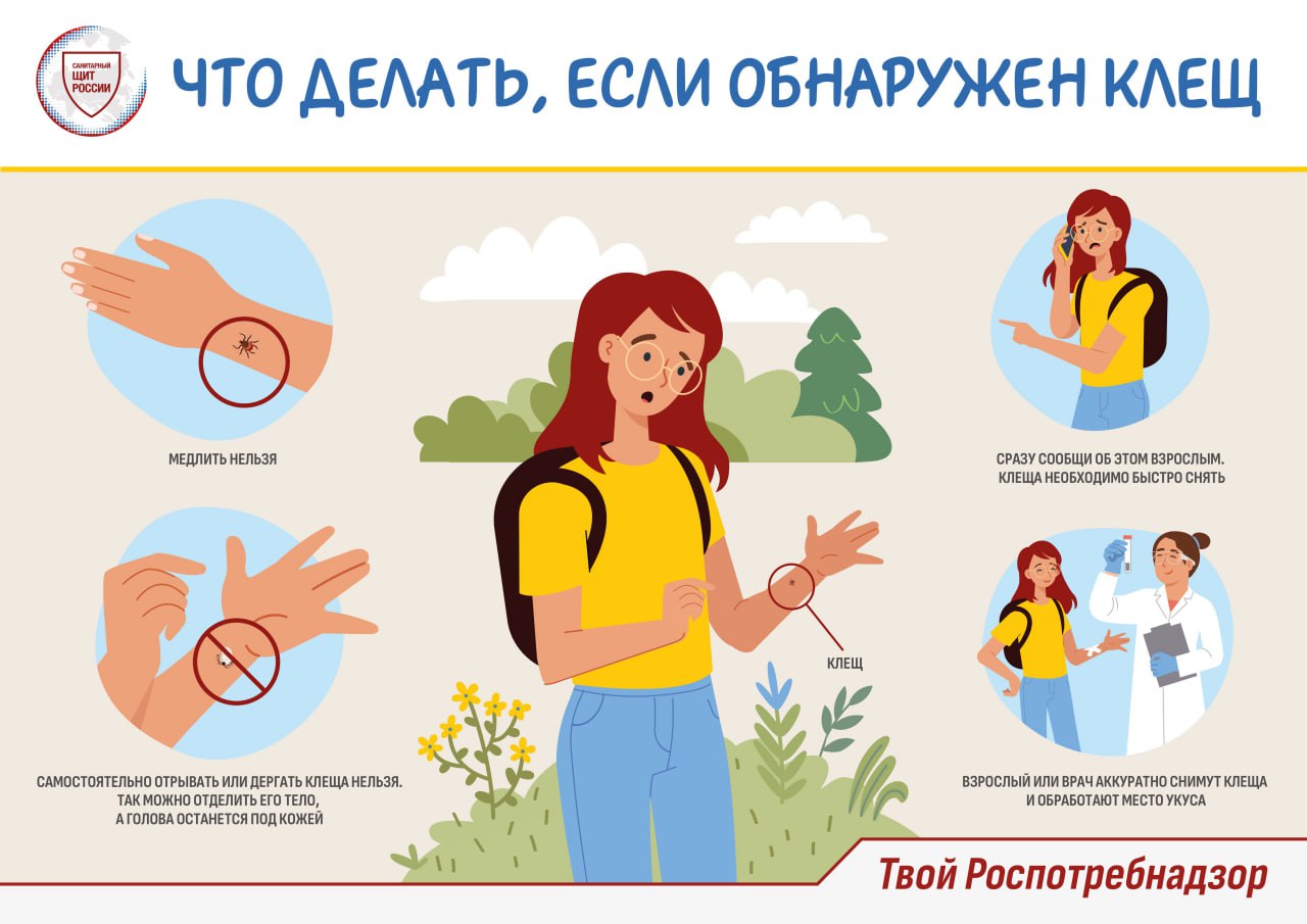 Что делать если обнаружен клещ..