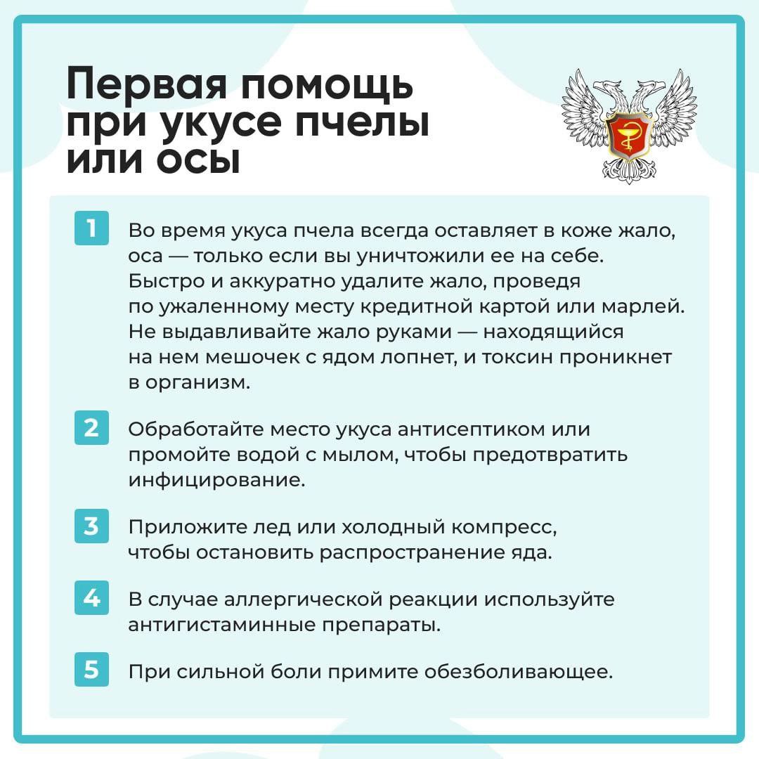 Первая помощь при укусе осы.