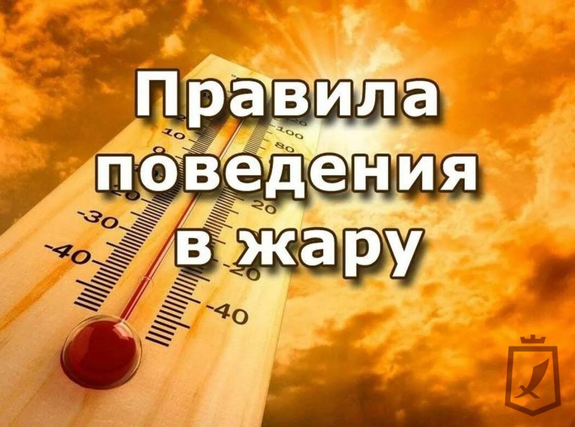 В жаркий период необходимо соблюдение некоторых правил.